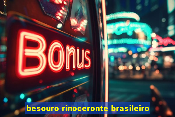 besouro rinoceronte brasileiro